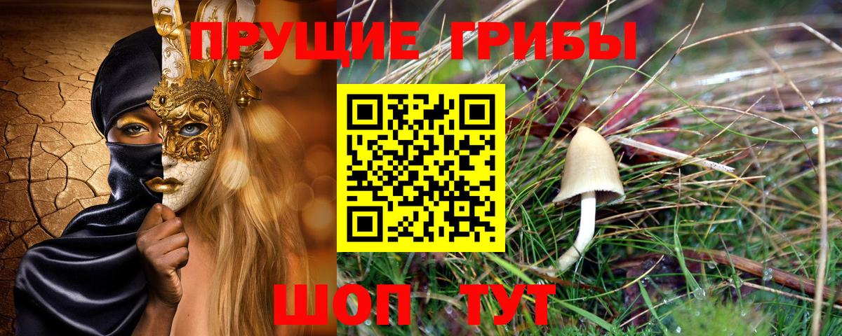 Галлюциногенные грибы прущие грибы Гулькевичи